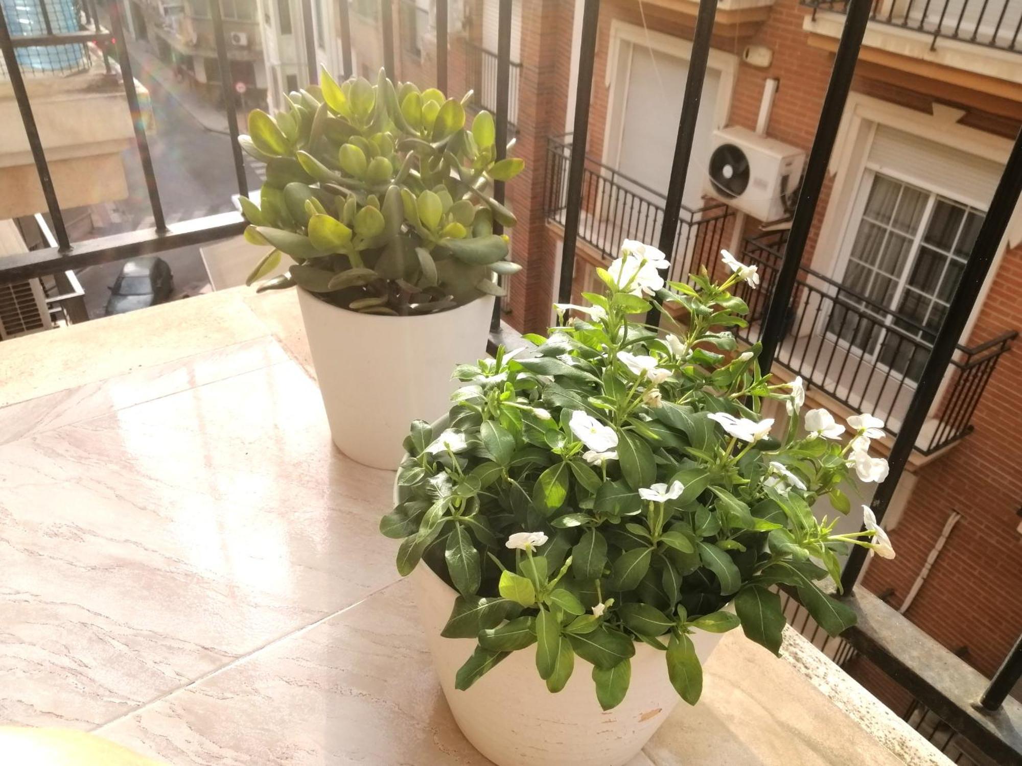 Centrico Vara De Rey Apartment *